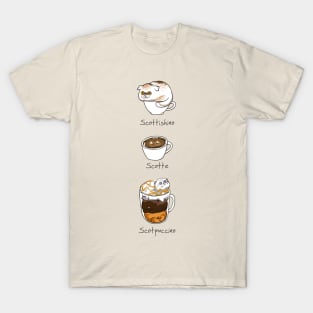 My favorite Coffee Scottish Fold T-Shirt